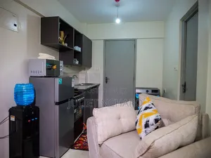 Furnished 1bdrm Bedsitter in 237 Estate, Roysambu for rent