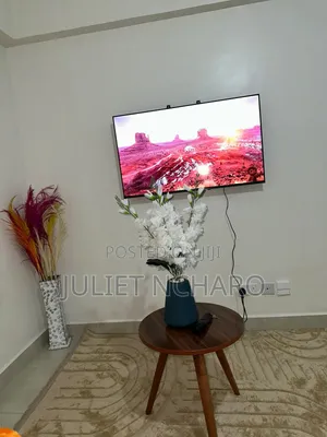 Furnished 1bdrm Bedsitter in 237 Estate, Roysambu for rent