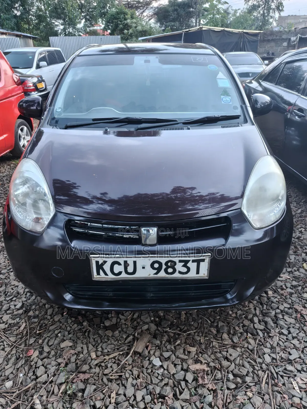 Toyota Passo 2012 Purple