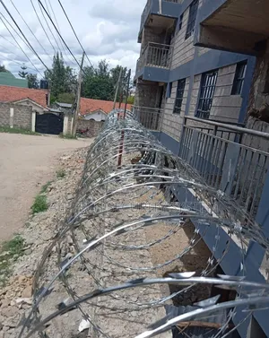 10 Meters Double Galvanized Silver Razors Wire