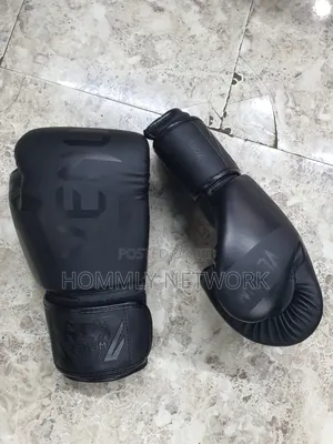Boxing Gloves Pair 12oz