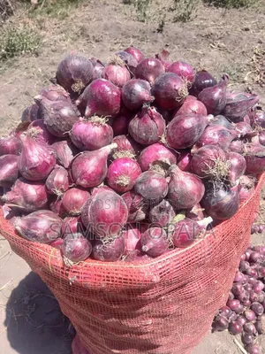 Organic Farming Training and Agronomy Services