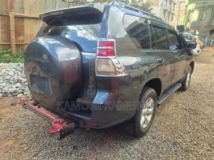 Toyota Land Cruiser 2010 Gray