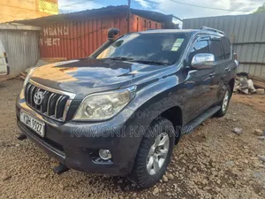 Toyota Land Cruiser 2010 Gray