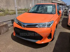 Toyota Axio 1.5 G 2WD 2019 Orange