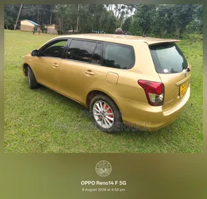Toyota Corolla Fielder 2010 Gold