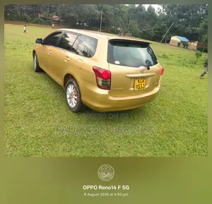 Toyota Corolla Fielder 2010 Gold