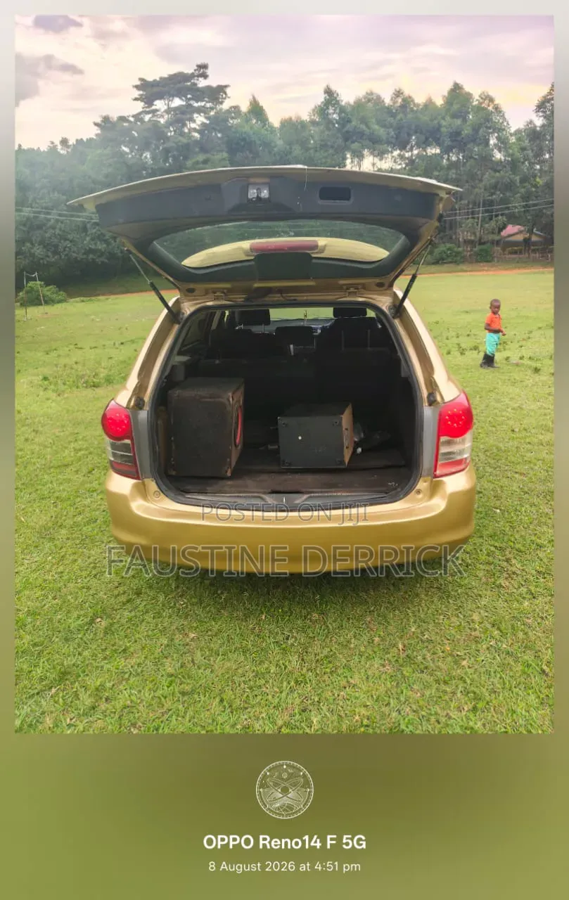 Toyota Corolla Fielder 2010 Gold