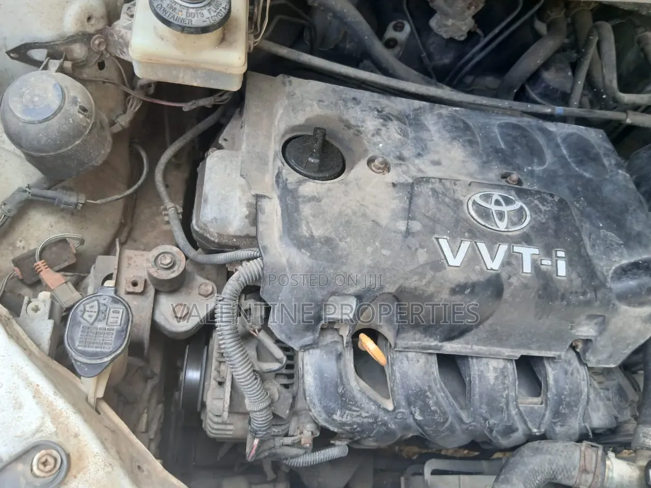 Toyota IST 2004 White