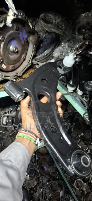 Passo Control Arm