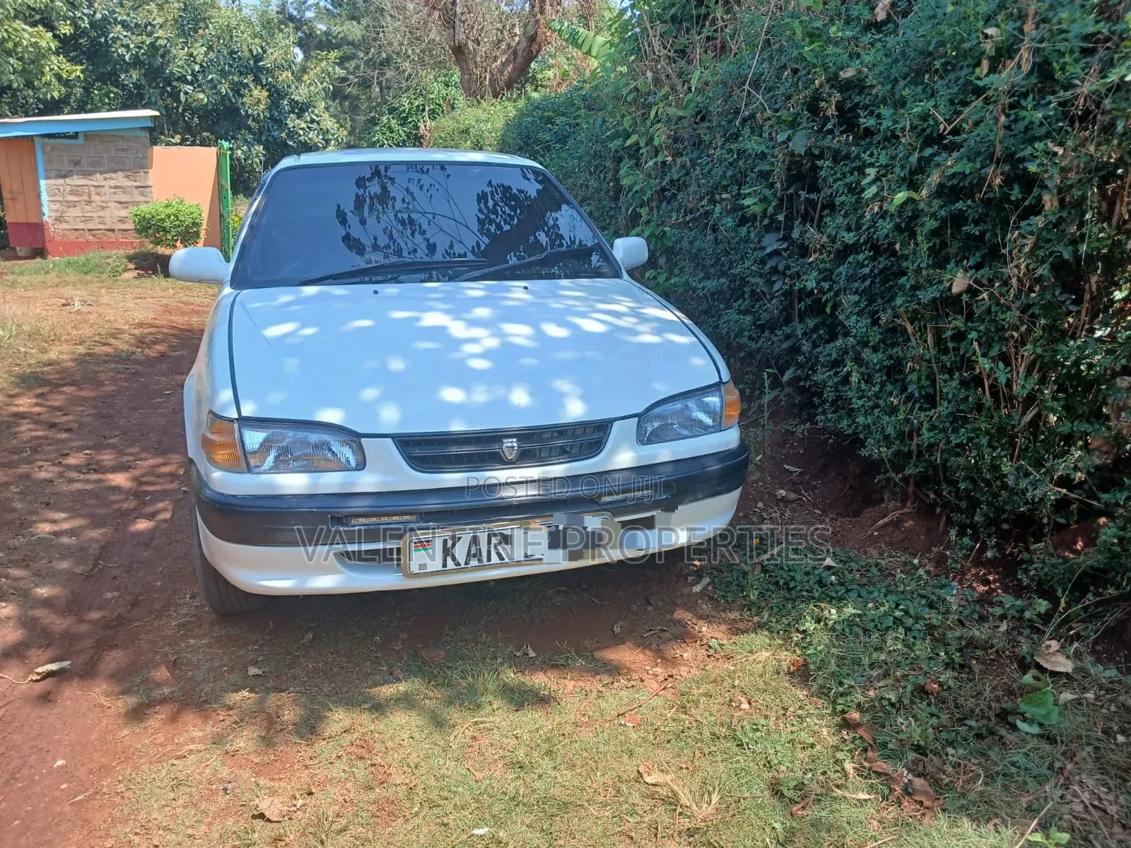 Toyota Corolla 1999 White