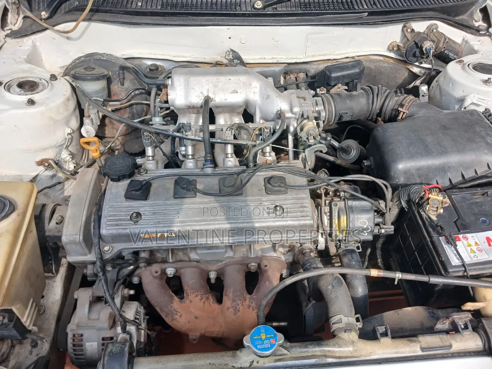 Toyota Corolla 1999 White