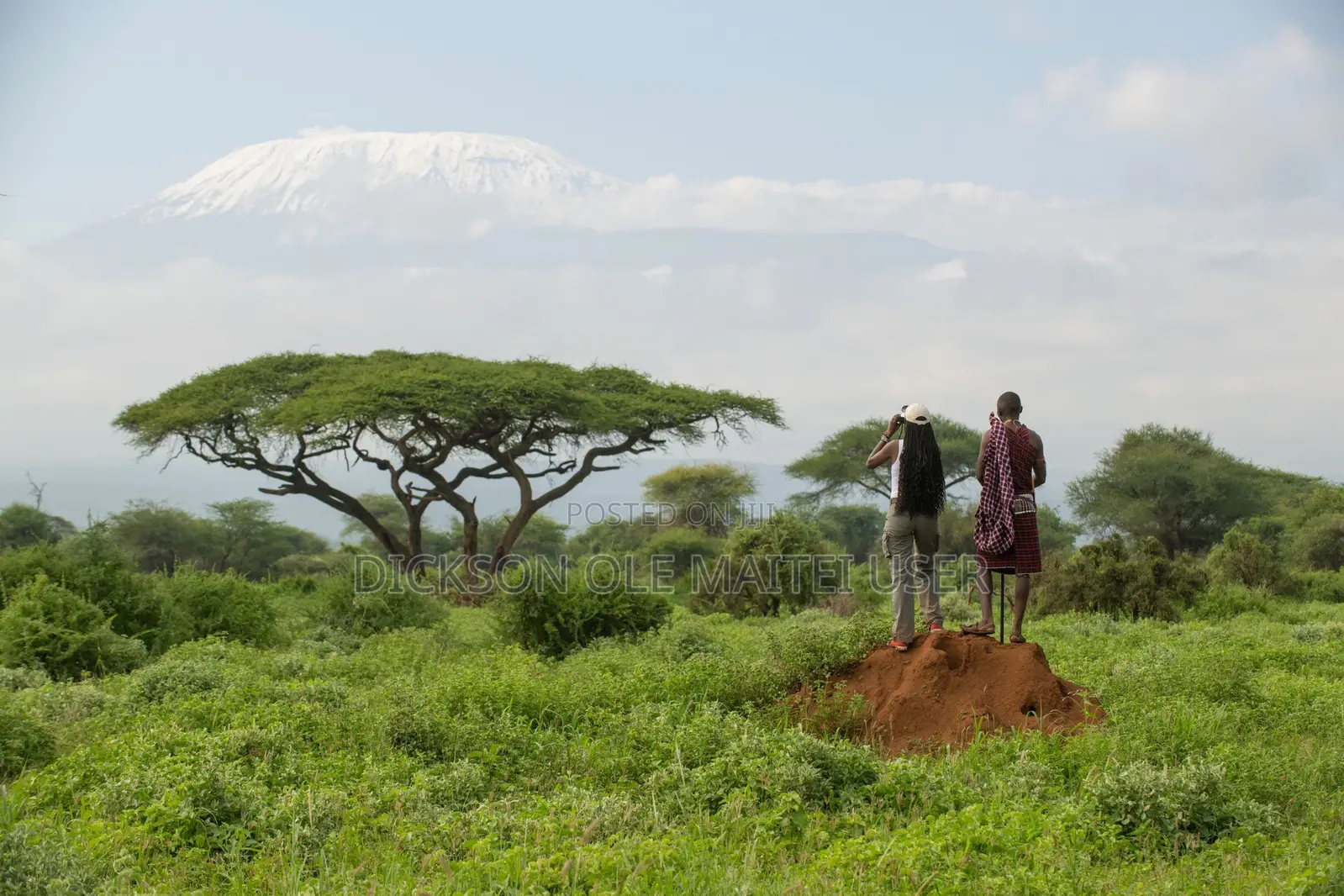 Amboseli/Kajiado 60 Arcs.