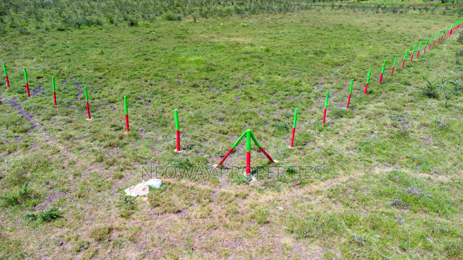 Mwalimu Farm
