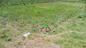 Mwalimu Farm