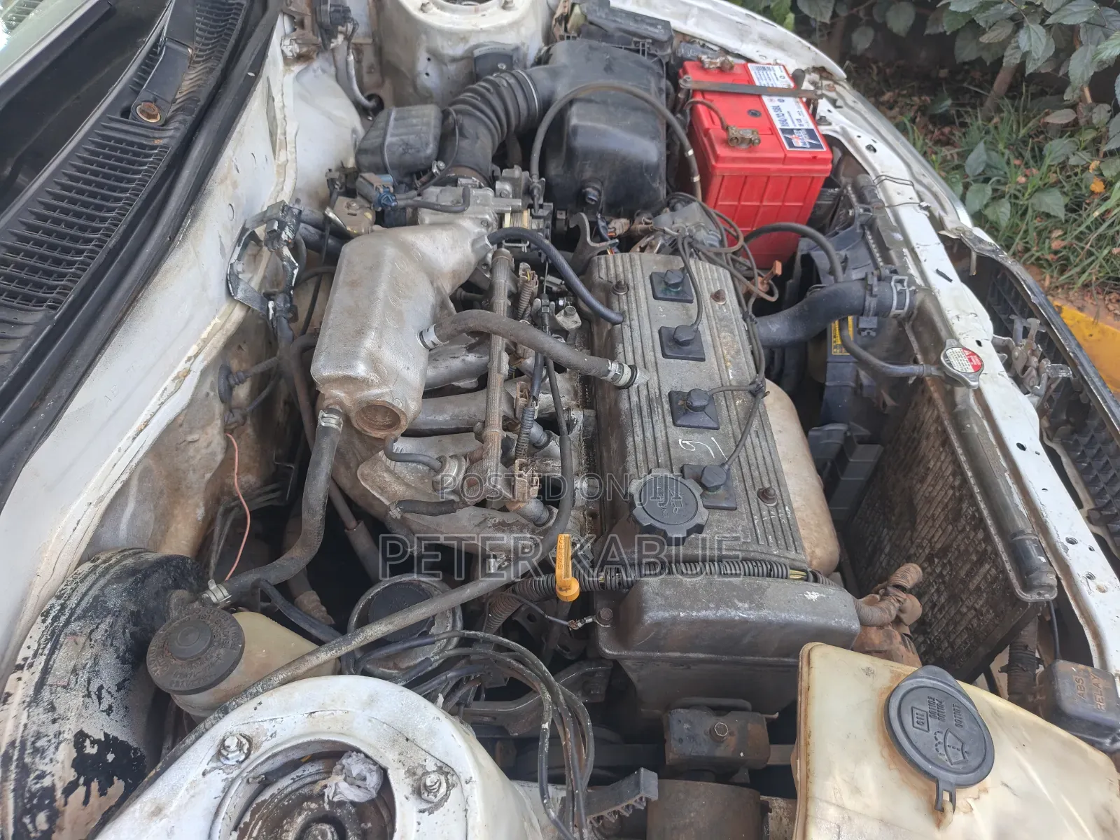 Toyota Sprinter 1999 White