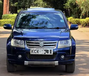 Suzuki Escudo 2013 Blue