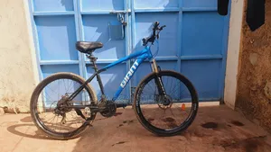 (Giant ) Mountain Bike With a Motor Hub.For Sale