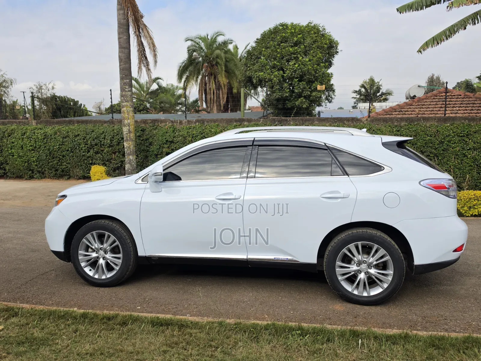 Lexus RX 2010 Pearl