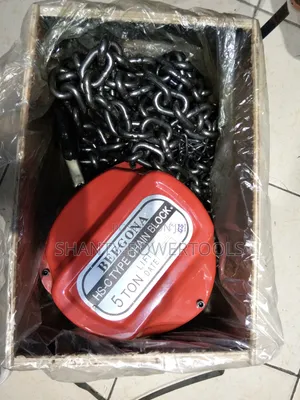 Beegona Chain Block 5ton