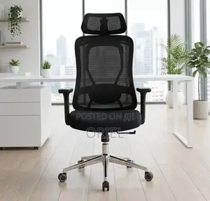 Office Chair : Orthopedic Manager Chair