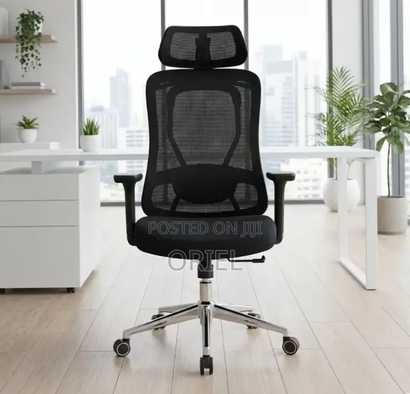 Office Chair : Orthopedic Manager Chair