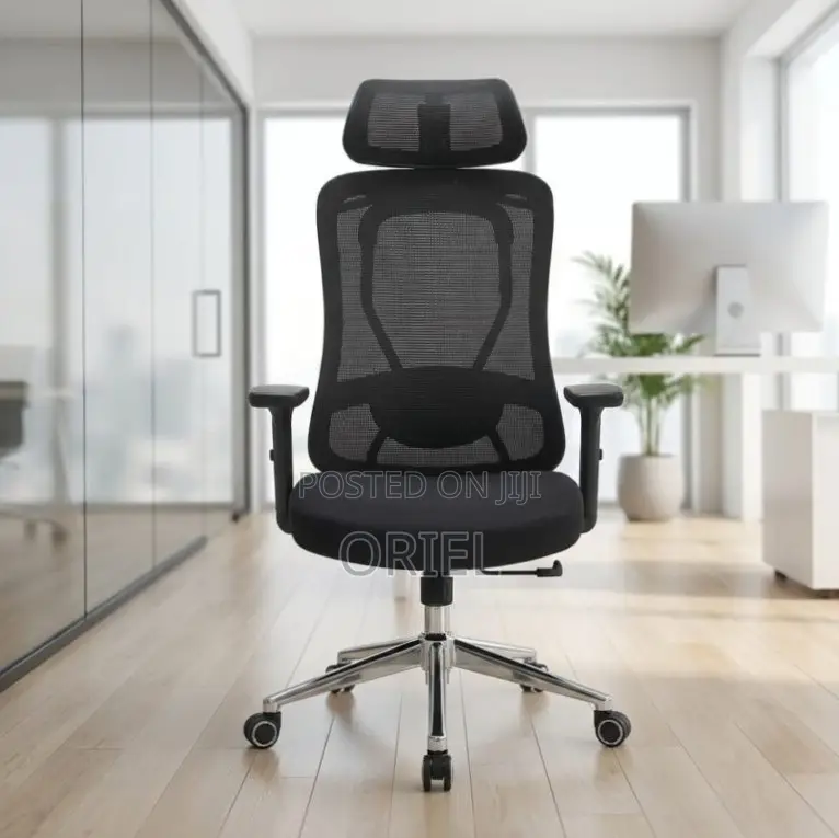 Office Chair : Orthopedic Manager Chair