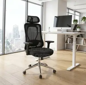 Office Chair : Orthopedic Manager Chair