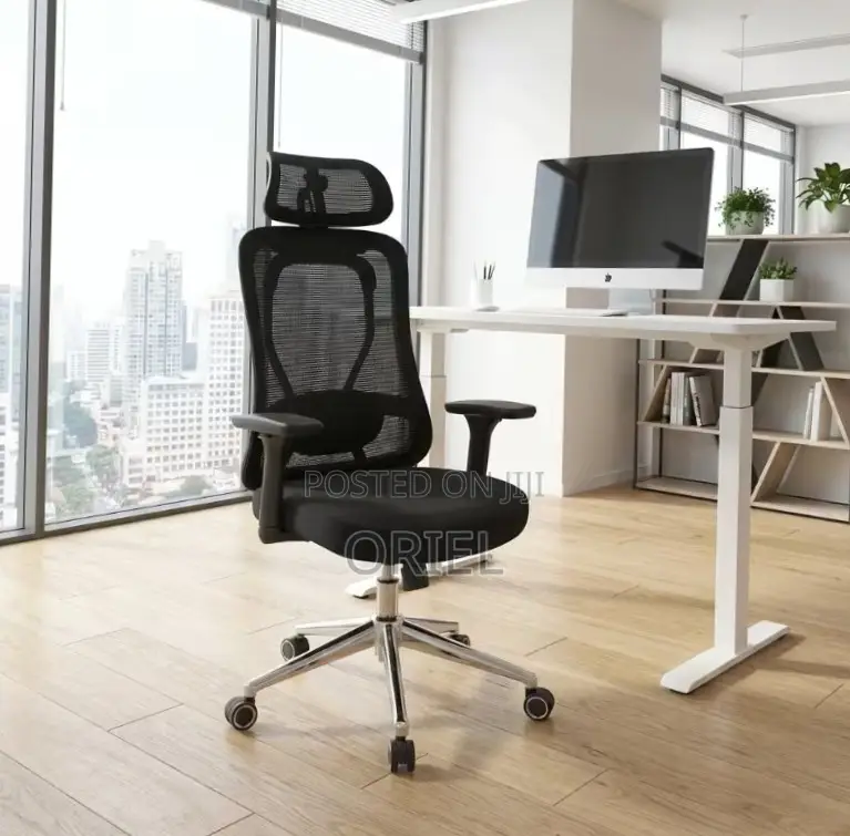 Office Chair : Orthopedic Manager Chair
