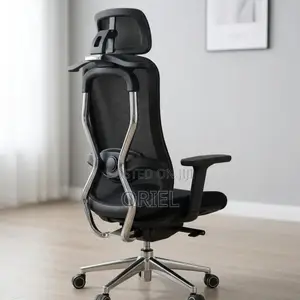 Office Chair : Orthopedic Manager Chair