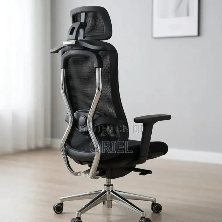 Office Chair : Orthopedic Manager Chair