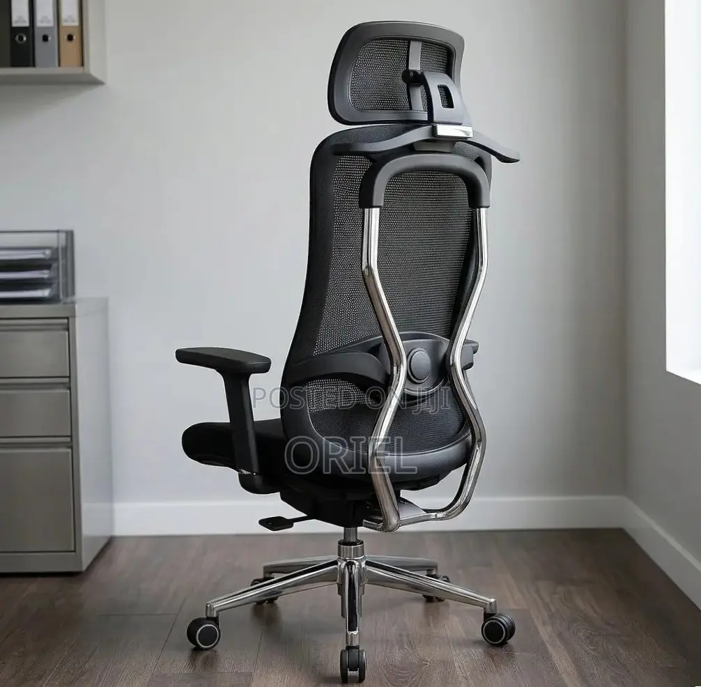 Office Chair : Orthopedic Manager Chair