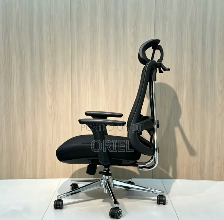 Office Chair : Orthopedic Manager Chair