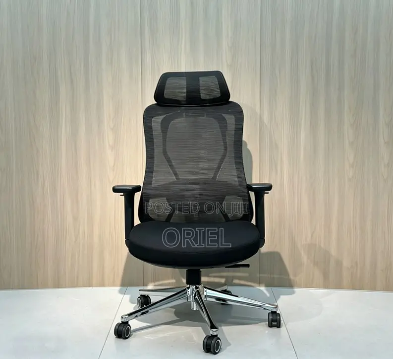 Office Chair : Orthopedic Manager Chair