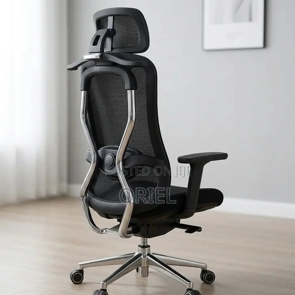 Office Chair : Orthopedic Manager Chair