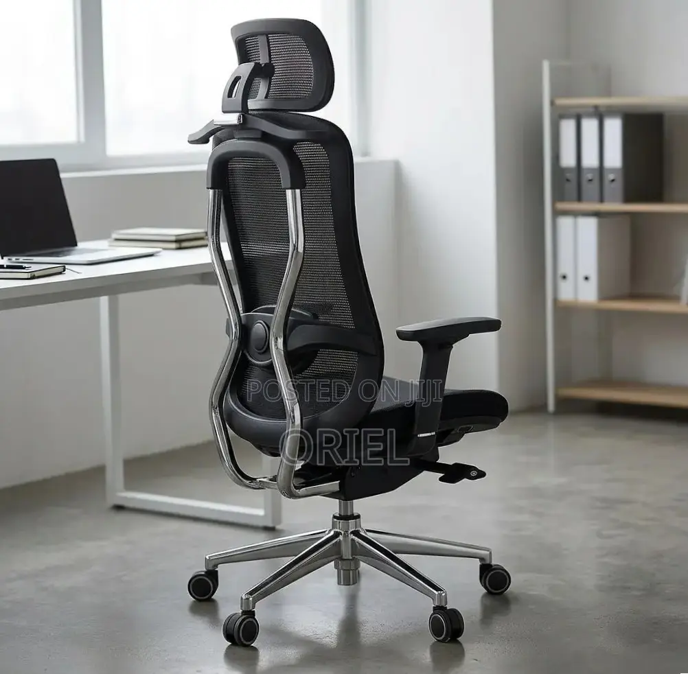 Office Chair : Orthopedic Manager Chair