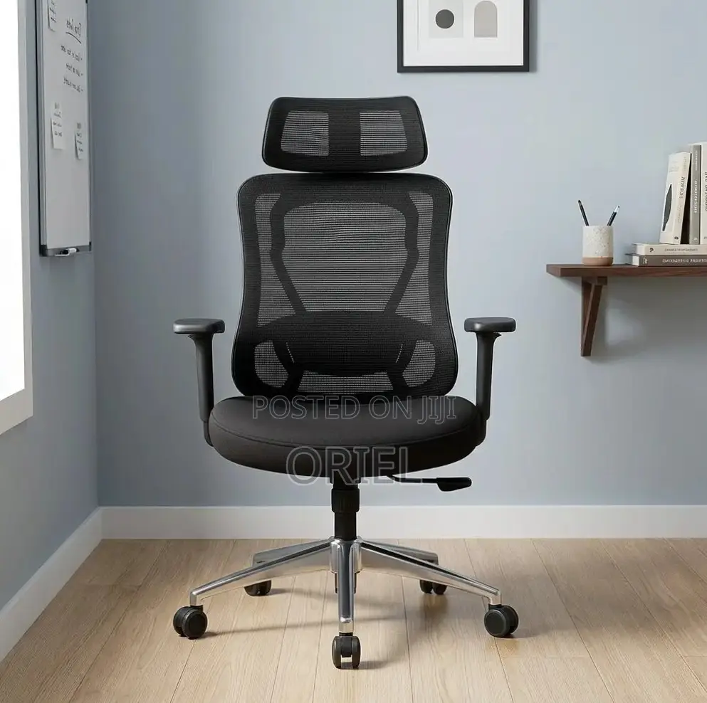 Office Chair : Orthopedic Manager Chair