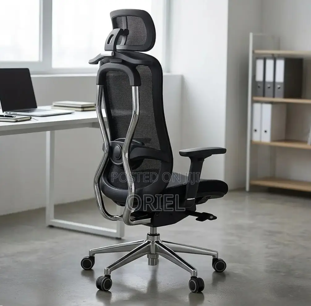 Office Chair : Orthopedic Manager Chair