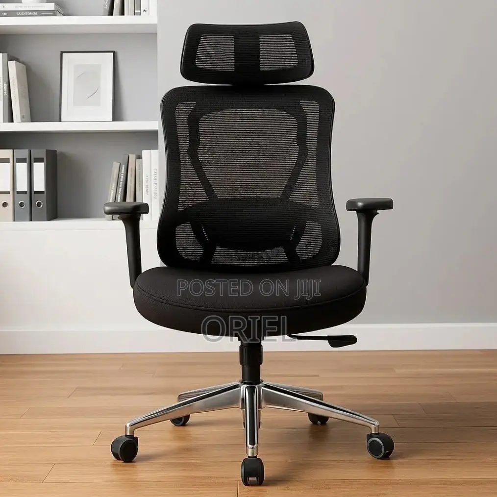 Office Chair : Orthopedic Manager Chair