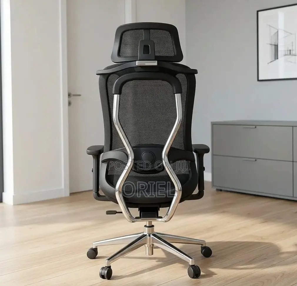 Office Chair : Orthopedic Manager Chair