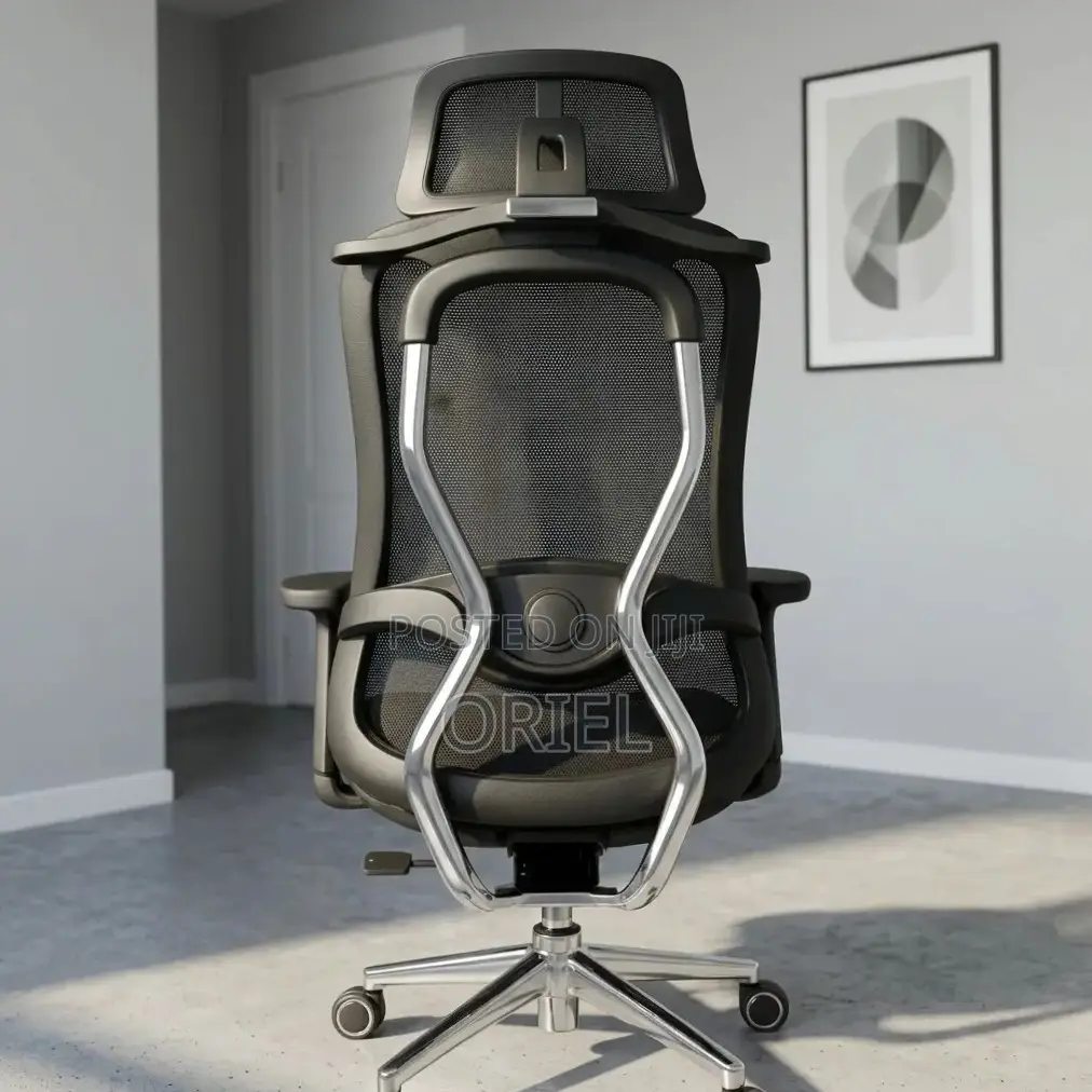Office Chair : Orthopedic Manager Chair