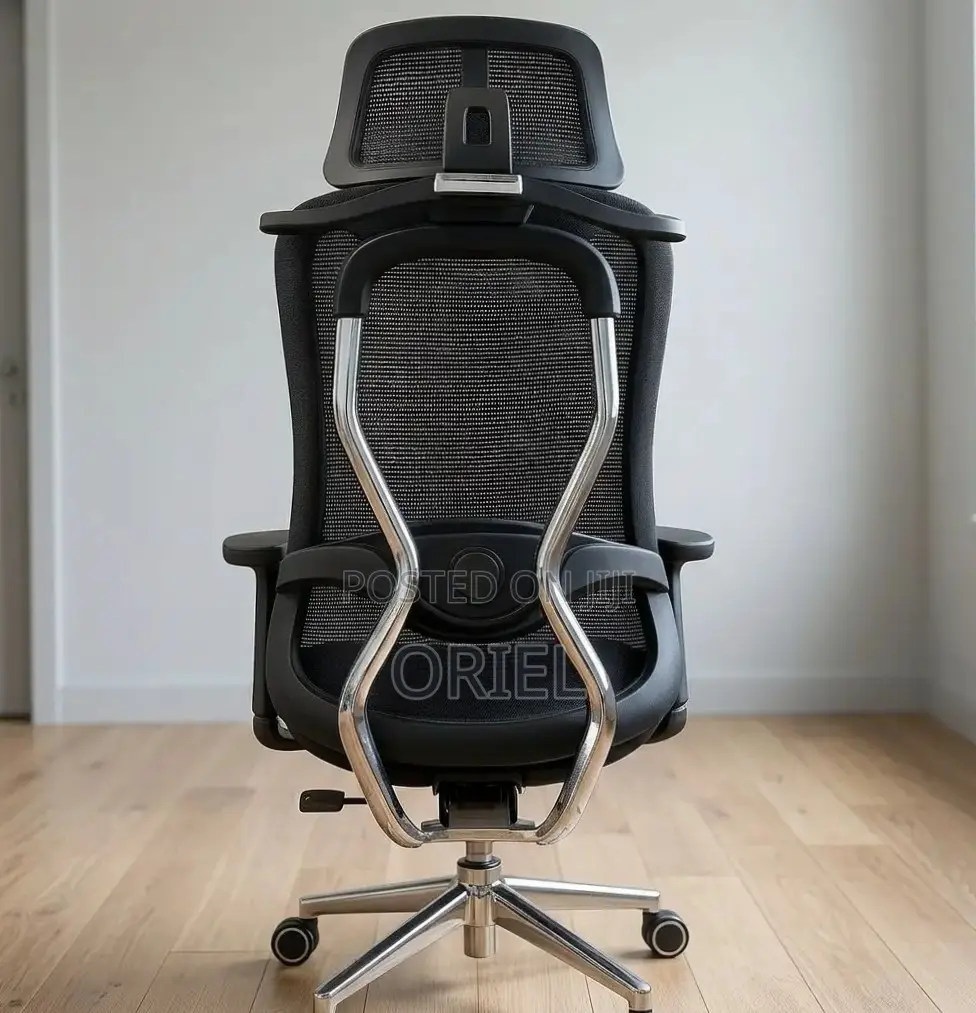 Office Chair : Orthopedic Manager Chair