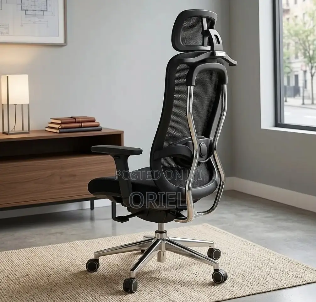 Office Chair : Orthopedic Manager Chair