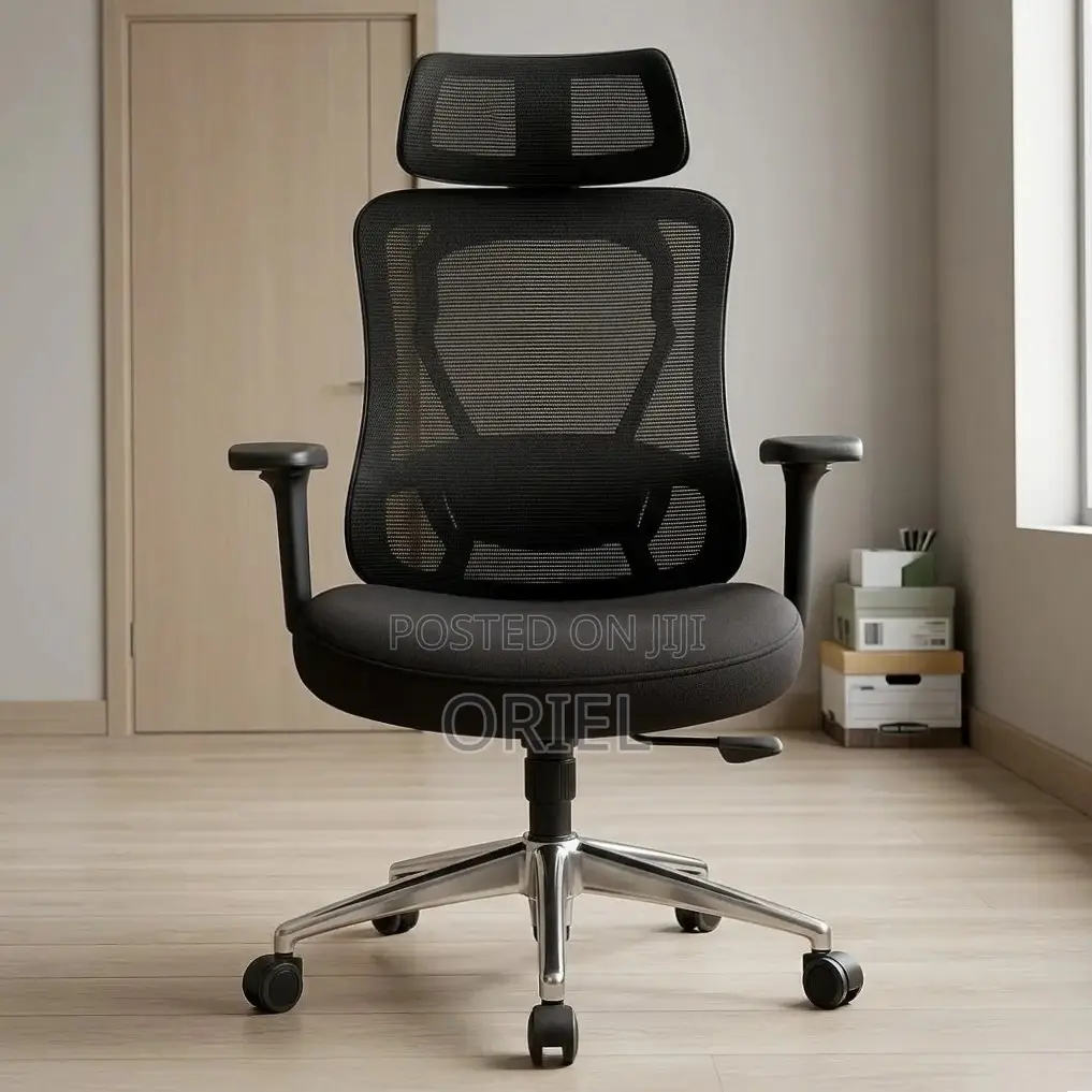 Office Chair : Orthopedic Manager Chair