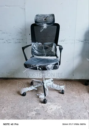 Orthopedic Office Chair
