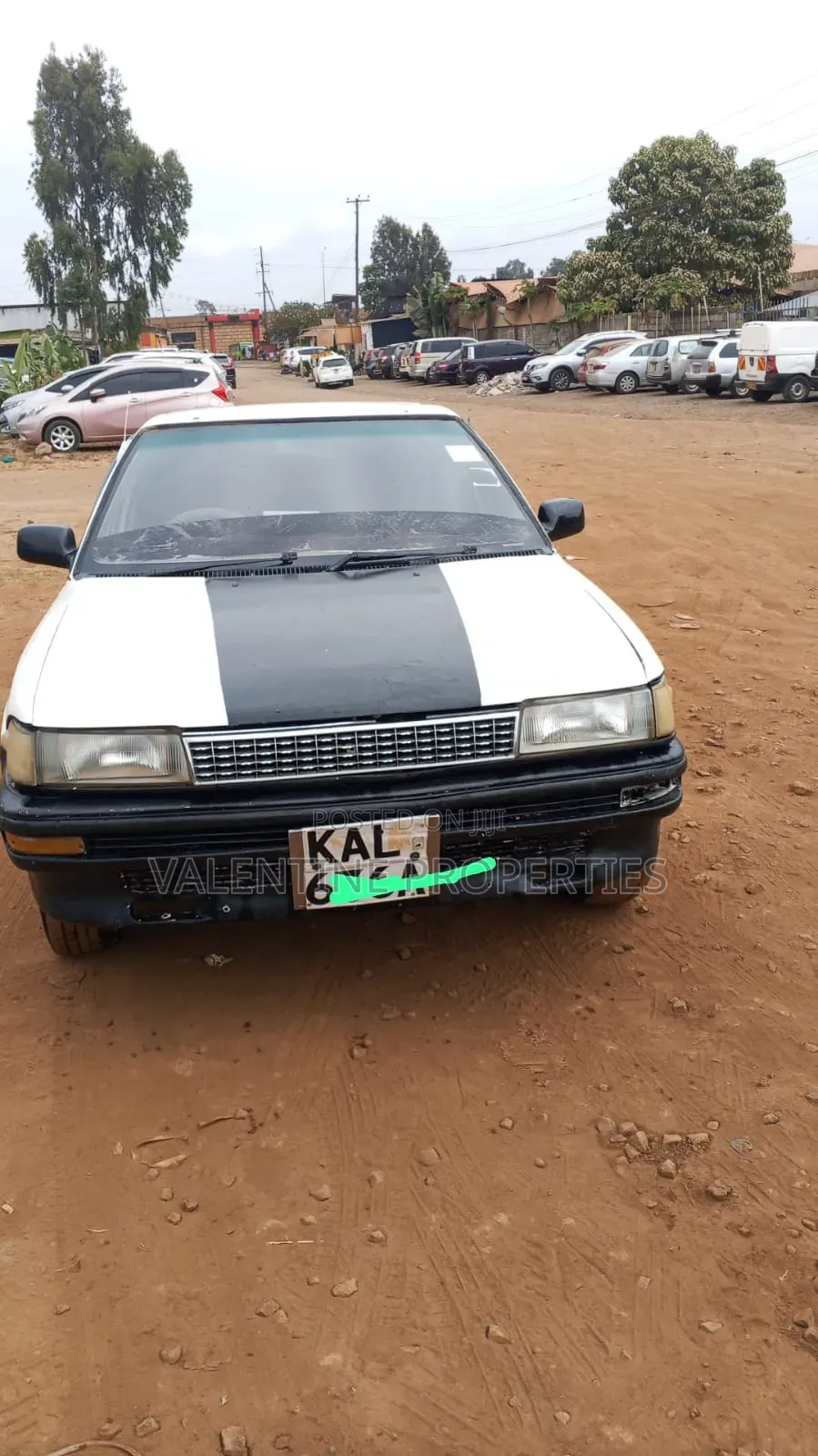 Toyota Corolla 1997 White