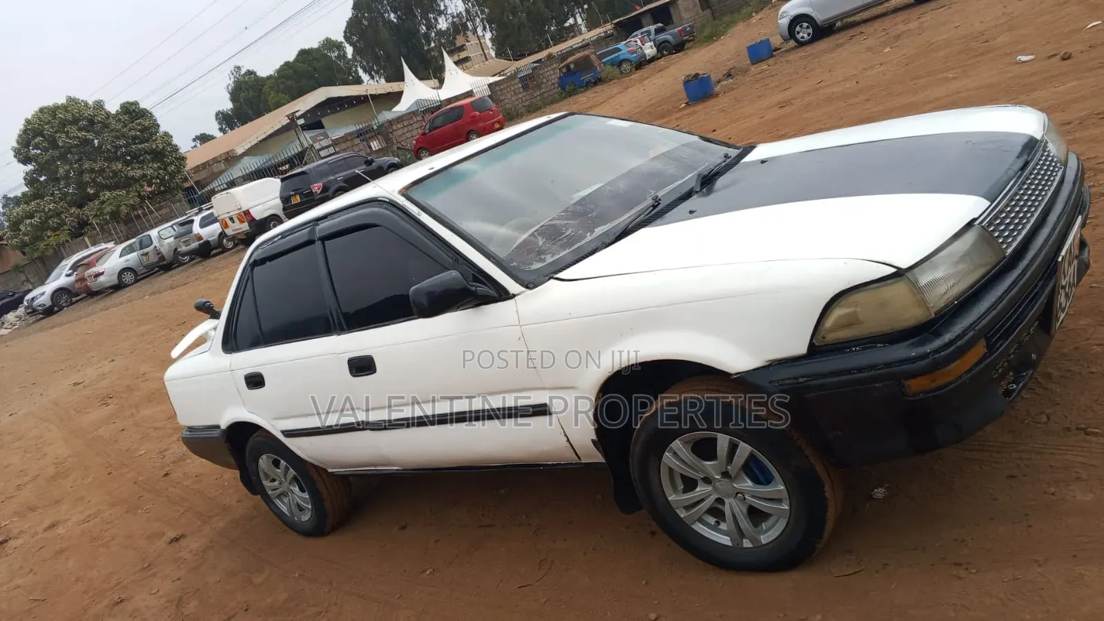 Toyota Corolla 1997 White