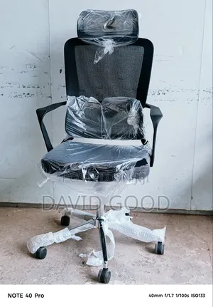 Surgeon Office Seat