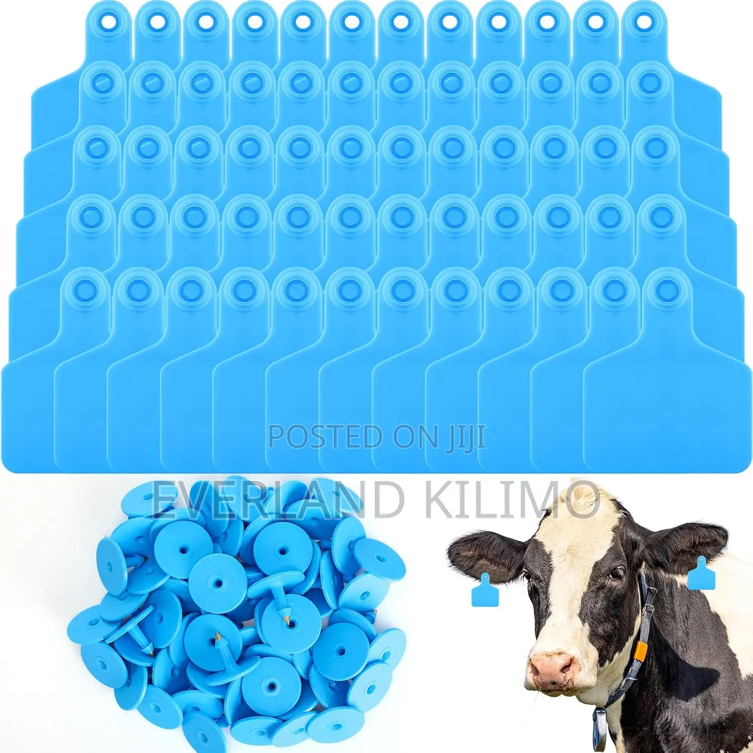 Livestock Identification Tag - Plain Large