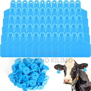 Livestock Identification Tag - Plain Large